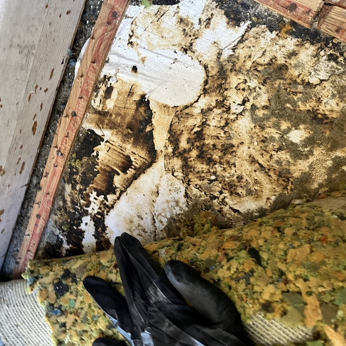 Mastic under carpet