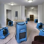 Water cleanup