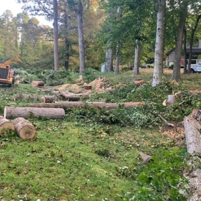 Tree services