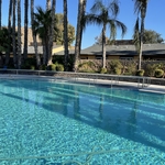 Pool Servicing
