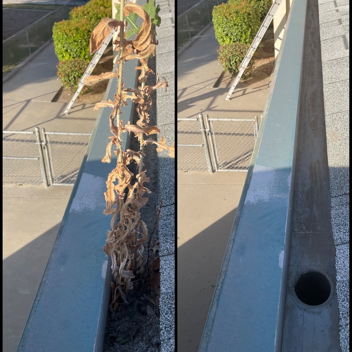 Gutter Cleaning