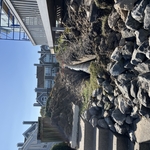 Drainage System