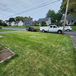 Landscaping....