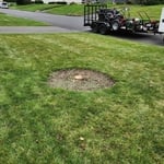 Landscaping....