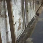 Wet and Damp Basement