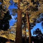 Outdoor Lighting