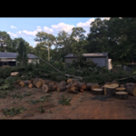 18 Trees- Fenced In- No Damage