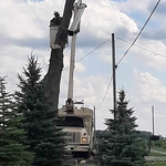 Storm Damage Tree Removal