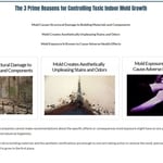 3 Reasons for Mold Testing