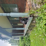 Side view