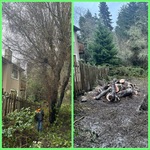 NEWELL DR TREE REMOVAL'S