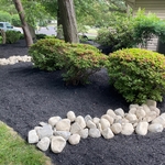 Mulch and Stone