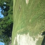 Lawn cutting