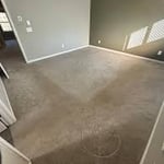 Carpet Cleaning