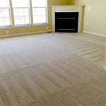 Carpet Cleaning