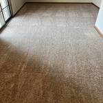 installed carpet