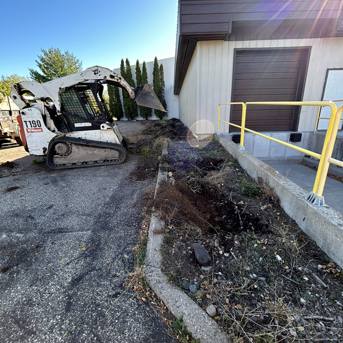 Shrub Removal