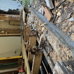 Rotted floor joist