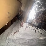 Mastic sealant