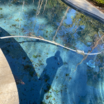 Meyer pristine pools