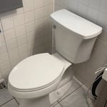 Kohler Toilet