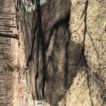 Land Clearing and Grading