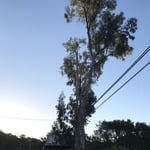 Our Projects