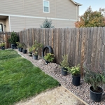 EY Landscape Renovation