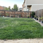EY Landscape Renovation
