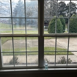 Before and After Window Cleaning