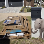 Move In Clean up