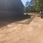 centipede sod placement