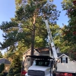 Crane Work