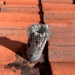 Pest Brothers Services
