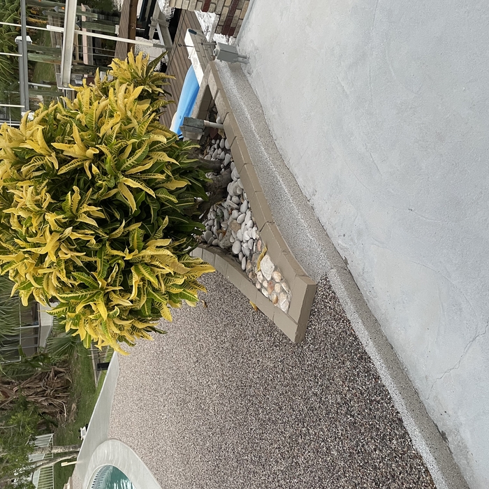 pool deck restore