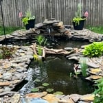 Koi Pond