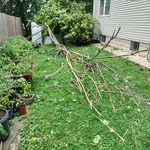 Storm Damage