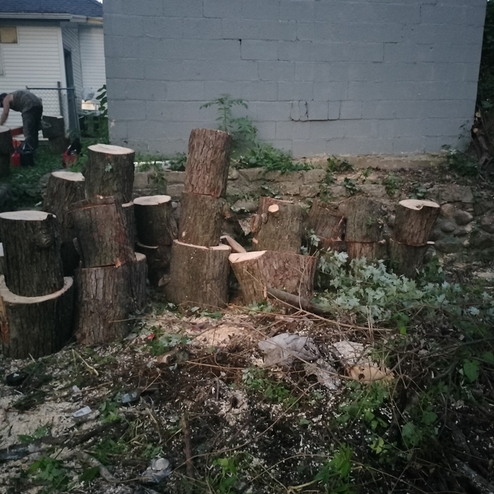 After the tree job