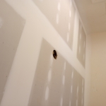 Fixed Ceiling and DryWalls.