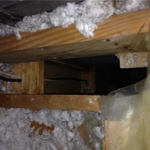 Chase in Attic (Before)