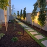 Paver pathway with artificial turf
