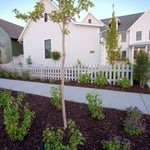 Parkstrip and Front Landscape
