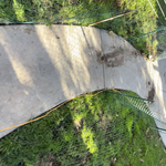 walkway