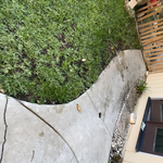 walkway