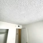 View of Acoustic Spray-On (Popcorn Ceiling)