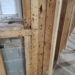 Our Work