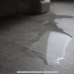 Water Damage Mitigation