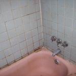 Mold Damage -before