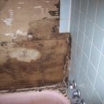 Mold Damage -before