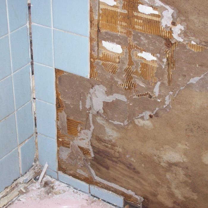 Mold Damage -before